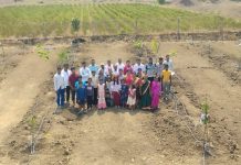 लग्नाचा खर्च टाळून बांधले शिवार रस्ते, चंद्रपूर जिल्ह्यातील सुसा या गावात कमी खर्चाचा सत्यशोधक विवाह सोहळा, नातेवाईक आणि मित्रांनी लग्नानिमित्त जोडप्याला झाडांचा दिला आहेर .