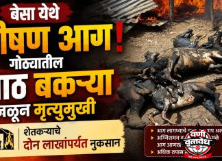 बेसा येथे भीषण आग, गोठ्यातील आठ बकऱ्या जळून मृत्युमुखी