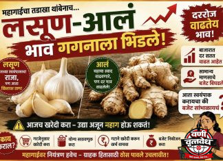 बापरे… लसूण दोनशे, अद्रक शंभर रुपये किलो