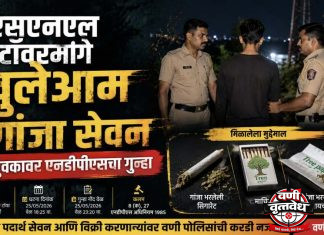 बीएसएनएल टॉवरमागे खुलेआम गांजा सेवन